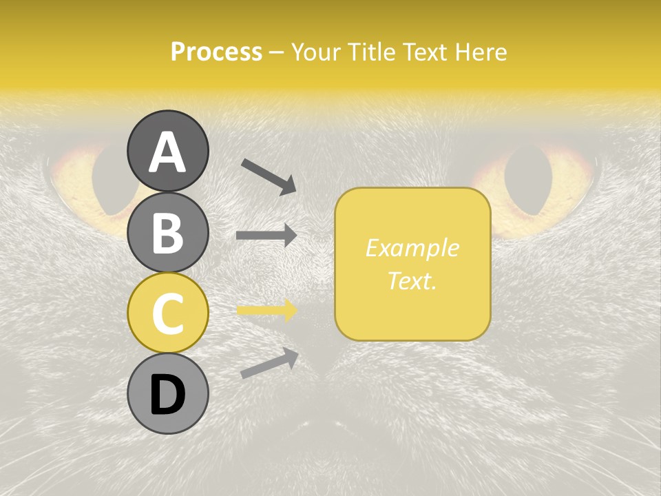 Pussy Purr Lovable PowerPoint Template