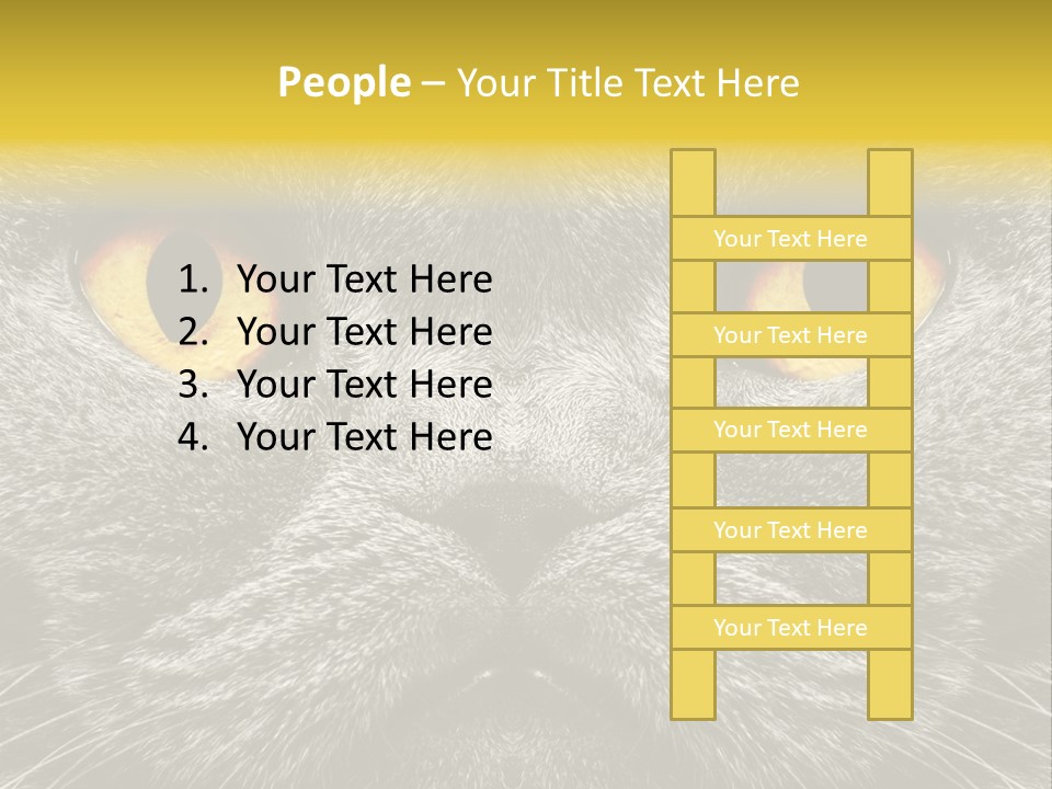 Pussy Purr Lovable PowerPoint Template