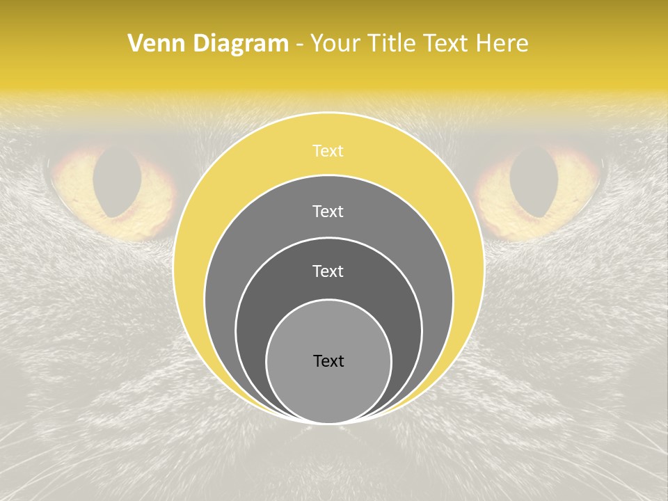 Pussy Purr Lovable PowerPoint Template