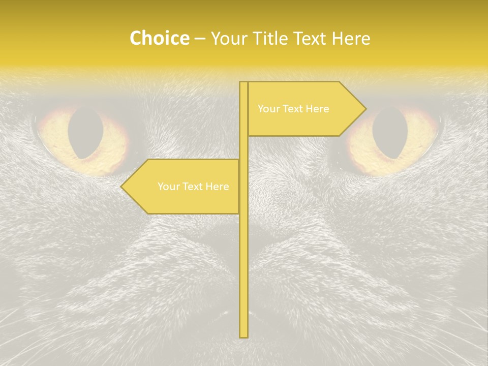 Pussy Purr Lovable PowerPoint Template