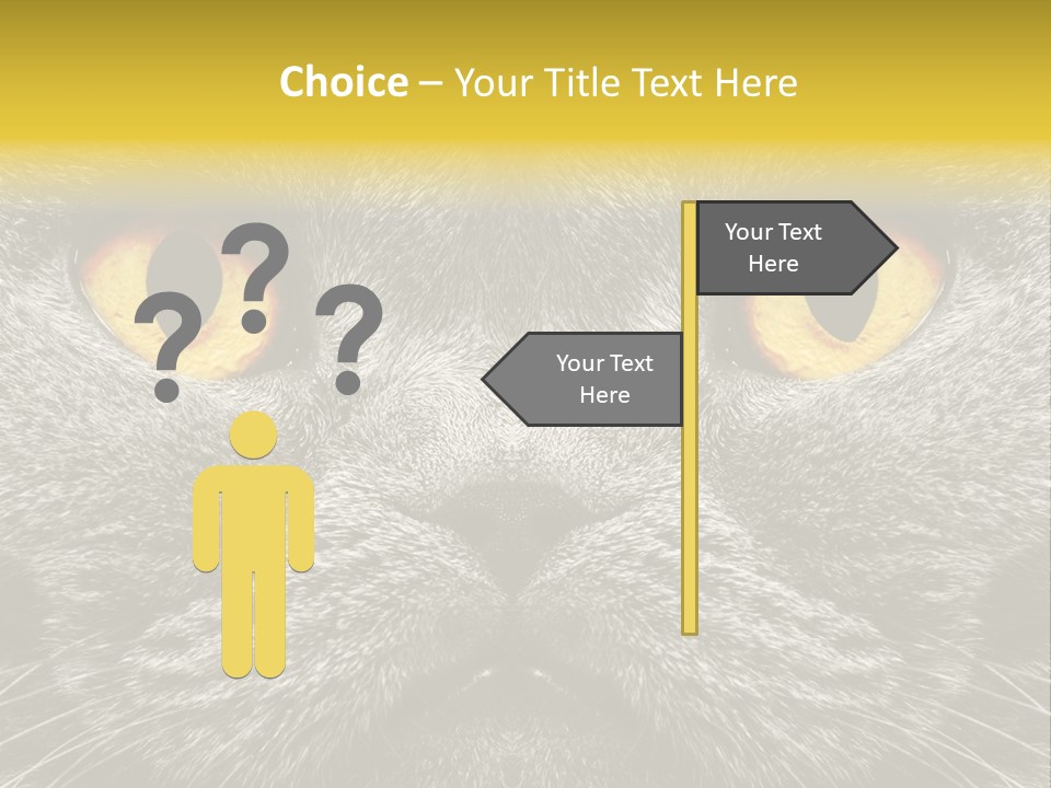 Pussy Purr Lovable PowerPoint Template