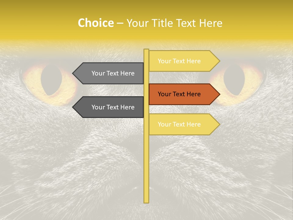 Pussy Purr Lovable PowerPoint Template