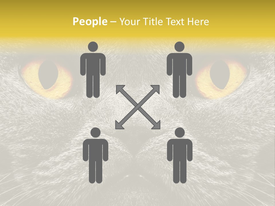 Pussy Purr Lovable PowerPoint Template