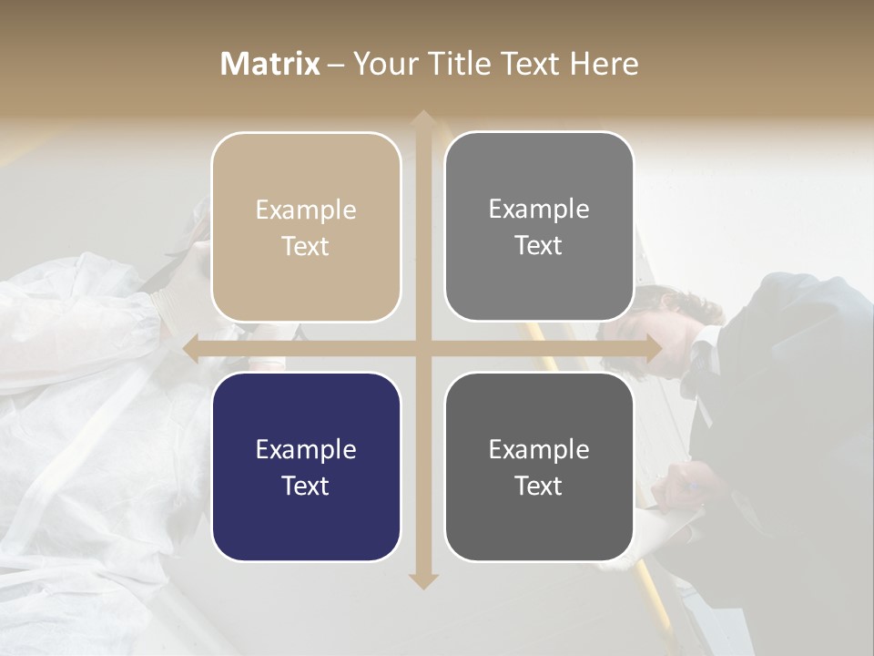 A Photographer Taking A Picture Of A Man In A Bee Suit PowerPoint Template