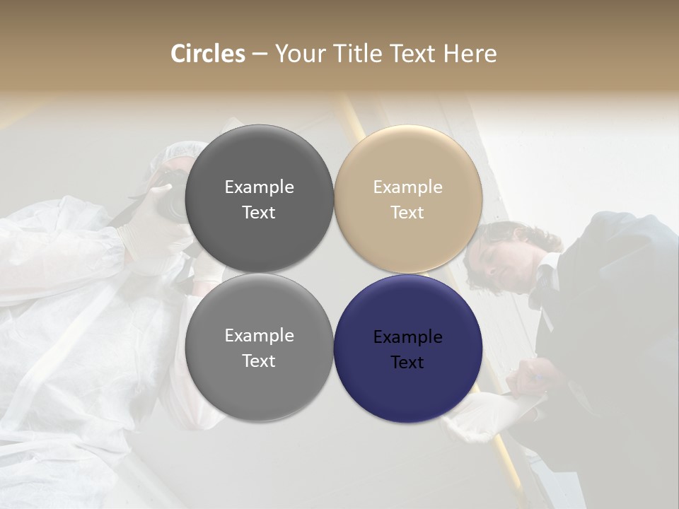 A Photographer Taking A Picture Of A Man In A Bee Suit PowerPoint Template