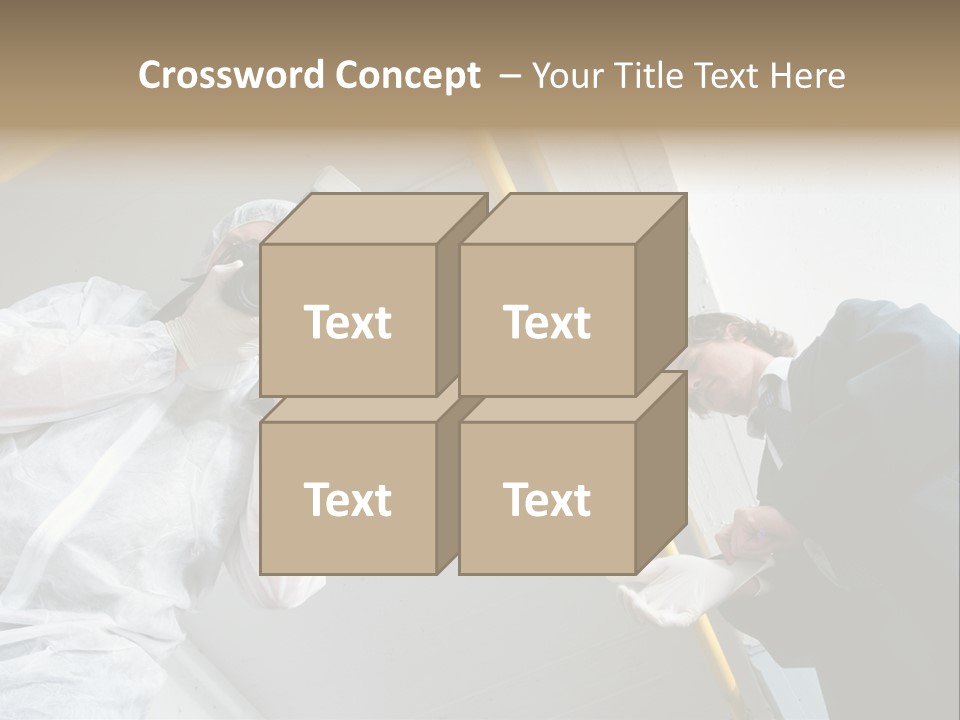 A Photographer Taking A Picture Of A Man In A Bee Suit PowerPoint Template