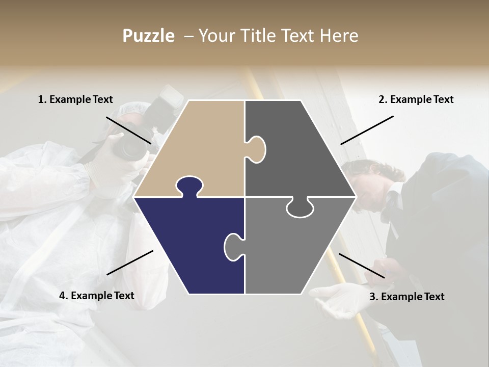 A Photographer Taking A Picture Of A Man In A Bee Suit PowerPoint Template