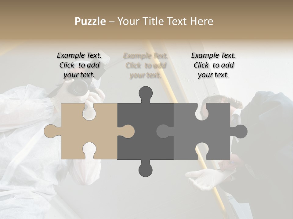 A Photographer Taking A Picture Of A Man In A Bee Suit PowerPoint Template