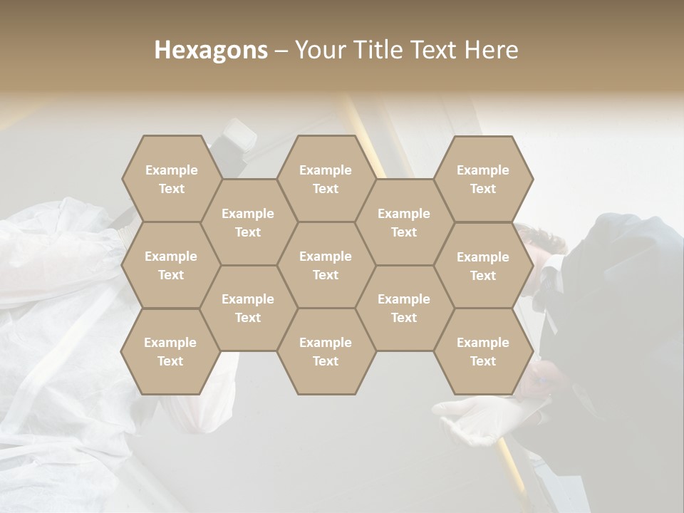 A Photographer Taking A Picture Of A Man In A Bee Suit PowerPoint Template