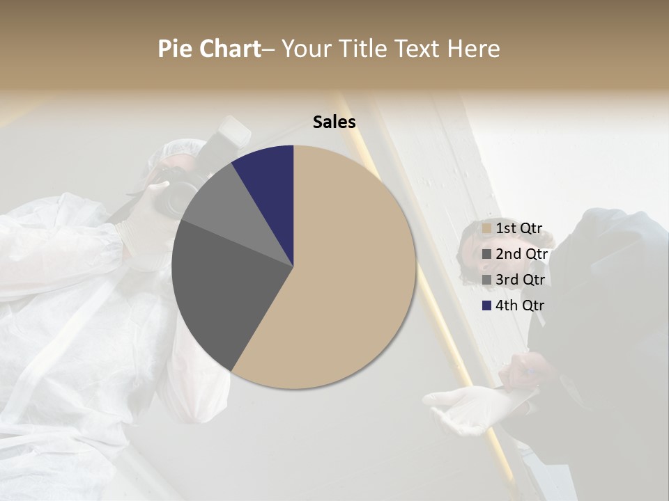 A Photographer Taking A Picture Of A Man In A Bee Suit PowerPoint Template
