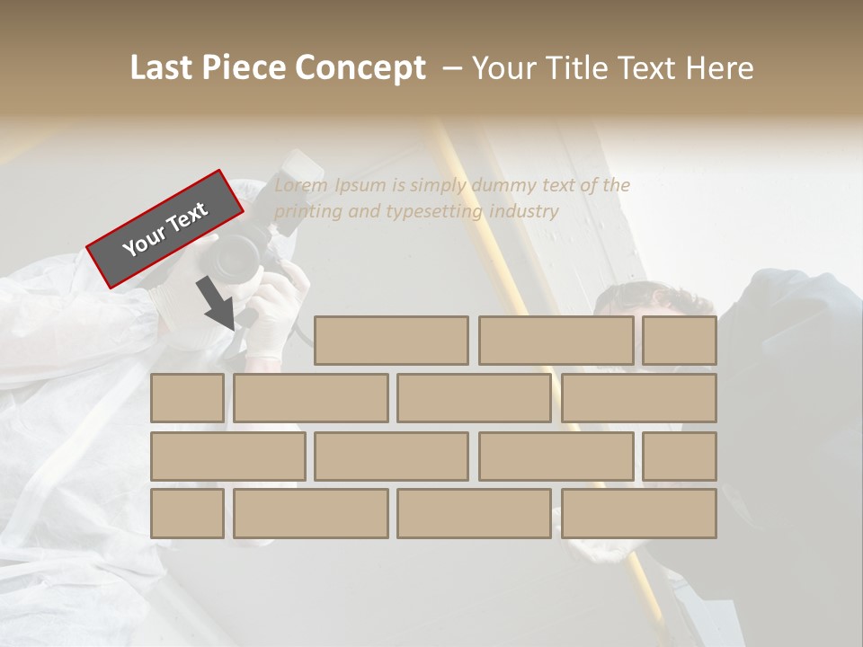 A Photographer Taking A Picture Of A Man In A Bee Suit PowerPoint Template