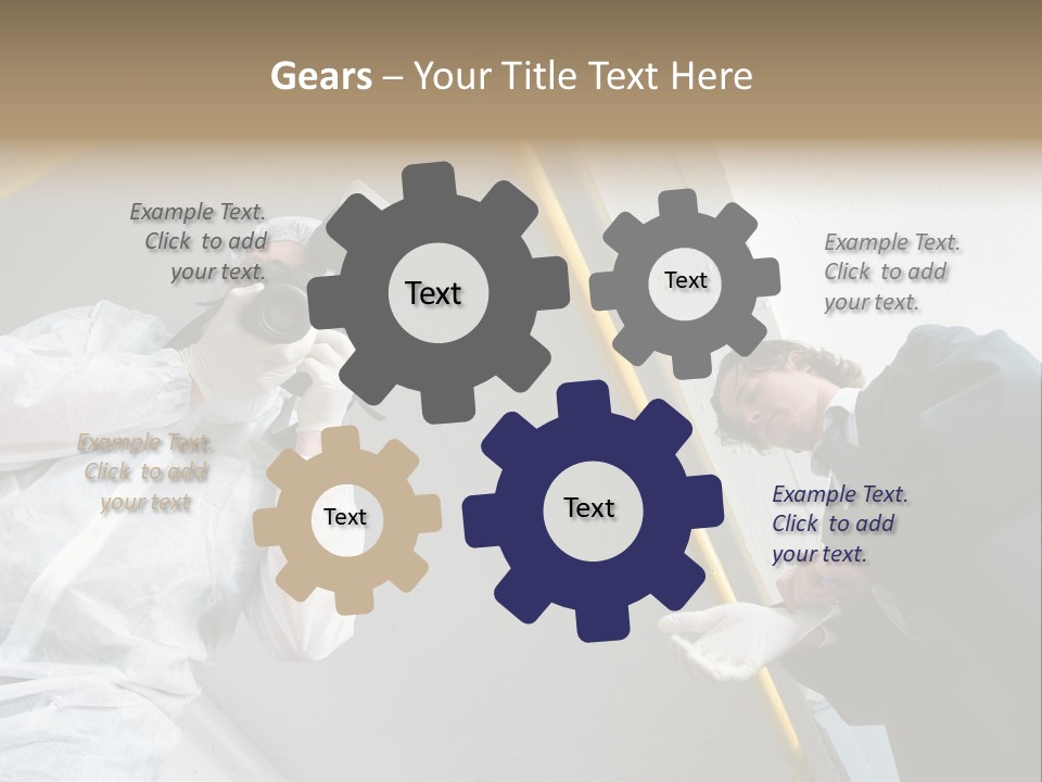 A Photographer Taking A Picture Of A Man In A Bee Suit PowerPoint Template