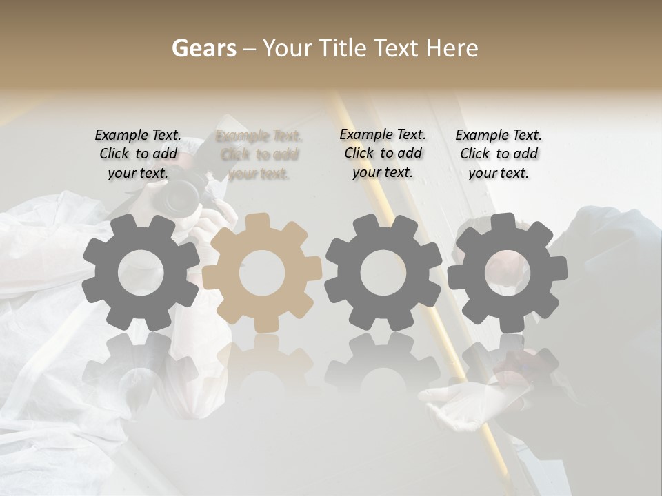 A Photographer Taking A Picture Of A Man In A Bee Suit PowerPoint Template