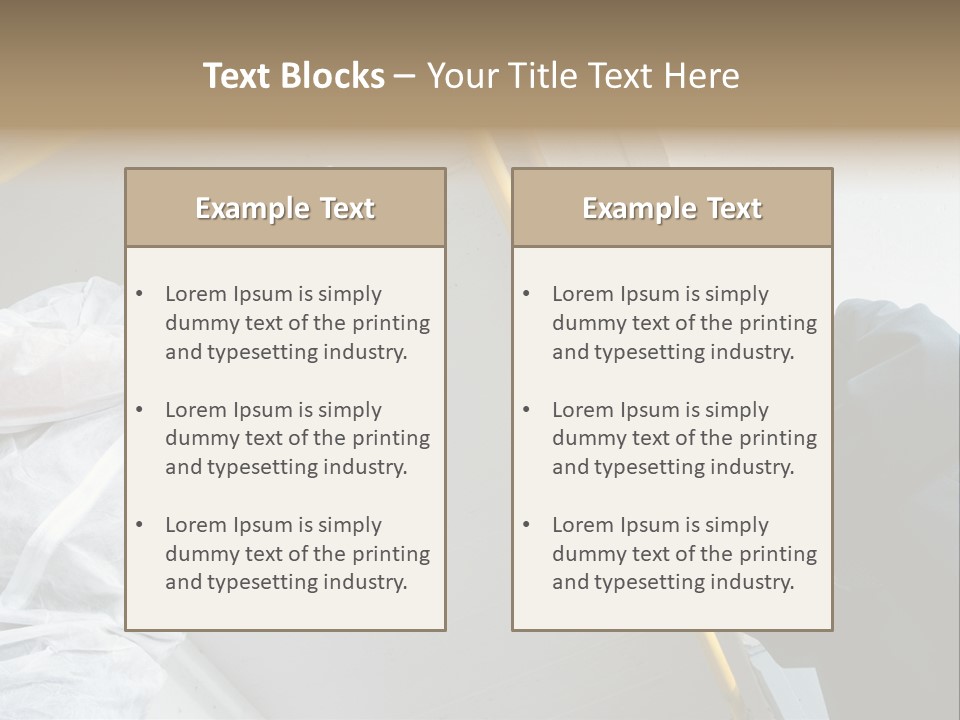 A Photographer Taking A Picture Of A Man In A Bee Suit PowerPoint Template