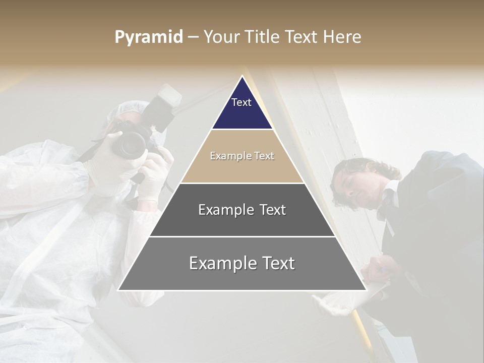 A Photographer Taking A Picture Of A Man In A Bee Suit PowerPoint Template