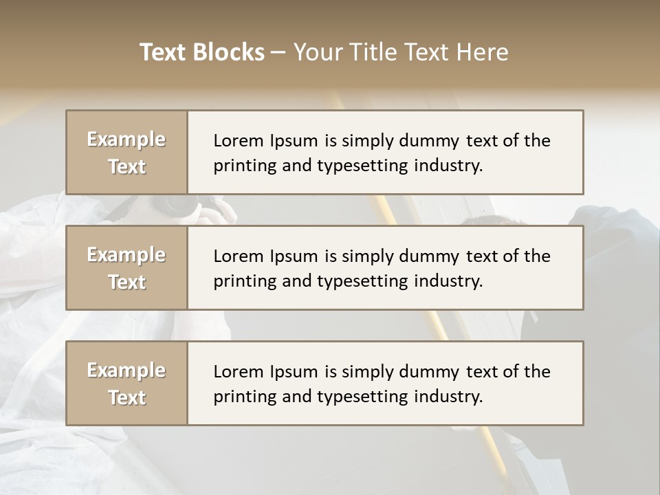 A Photographer Taking A Picture Of A Man In A Bee Suit PowerPoint Template