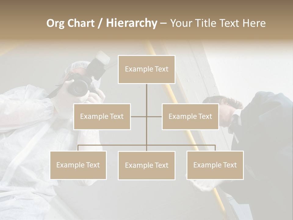 A Photographer Taking A Picture Of A Man In A Bee Suit PowerPoint Template