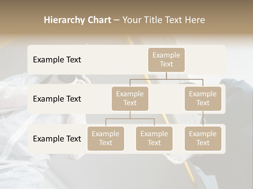 A Photographer Taking A Picture Of A Man In A Bee Suit PowerPoint Template
