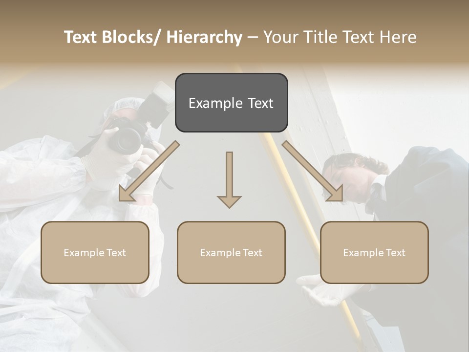 A Photographer Taking A Picture Of A Man In A Bee Suit PowerPoint Template