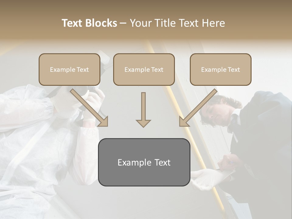 A Photographer Taking A Picture Of A Man In A Bee Suit PowerPoint Template