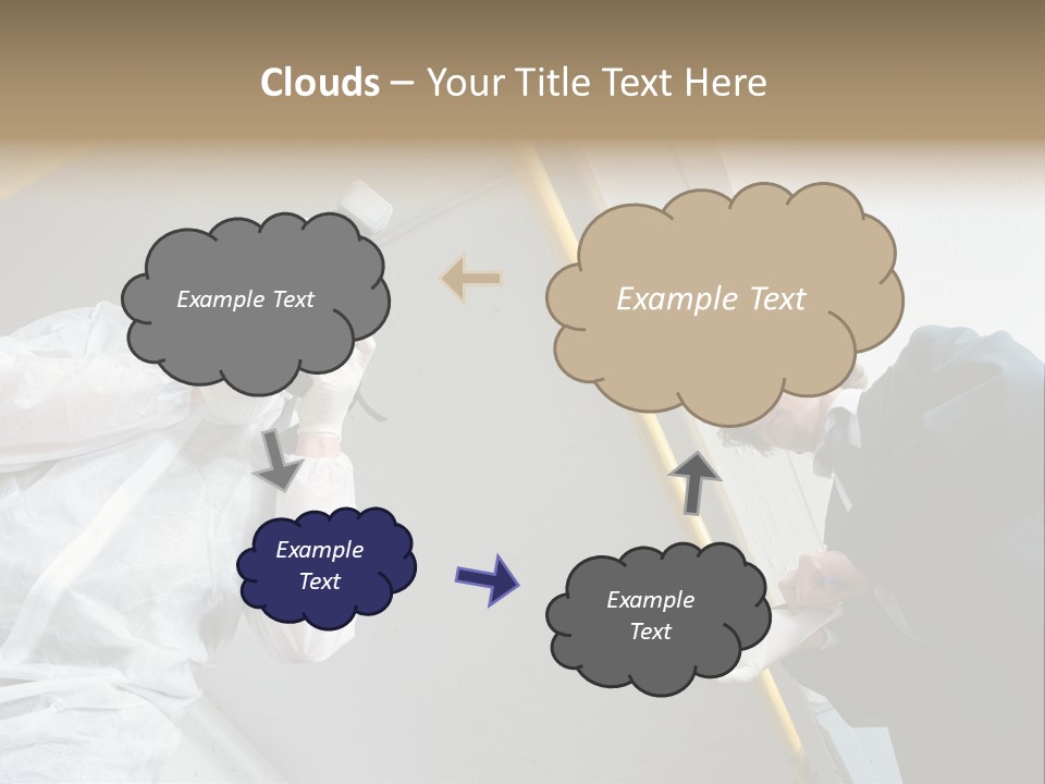 A Photographer Taking A Picture Of A Man In A Bee Suit PowerPoint Template
