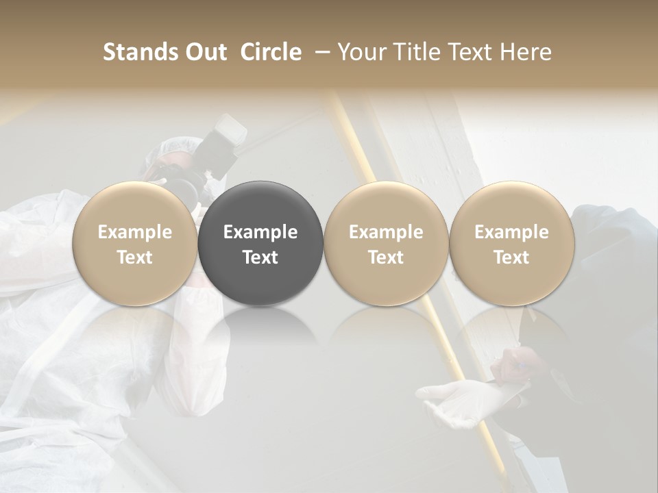 A Photographer Taking A Picture Of A Man In A Bee Suit PowerPoint Template