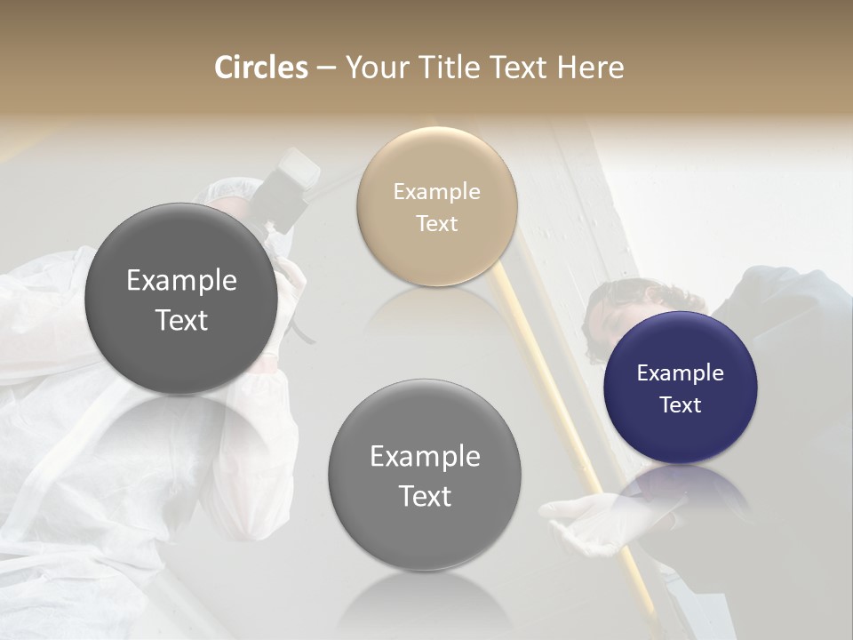 A Photographer Taking A Picture Of A Man In A Bee Suit PowerPoint Template