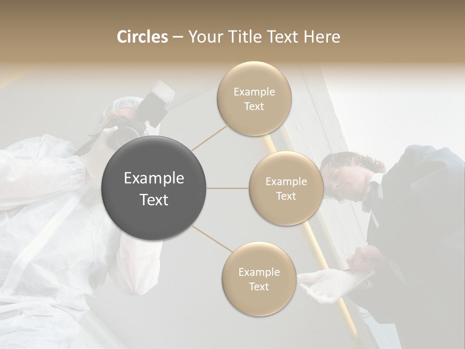 A Photographer Taking A Picture Of A Man In A Bee Suit PowerPoint Template