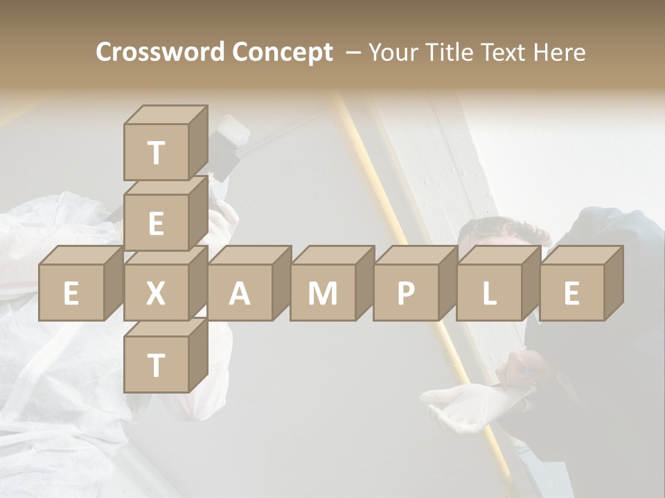 A Photographer Taking A Picture Of A Man In A Bee Suit PowerPoint Template