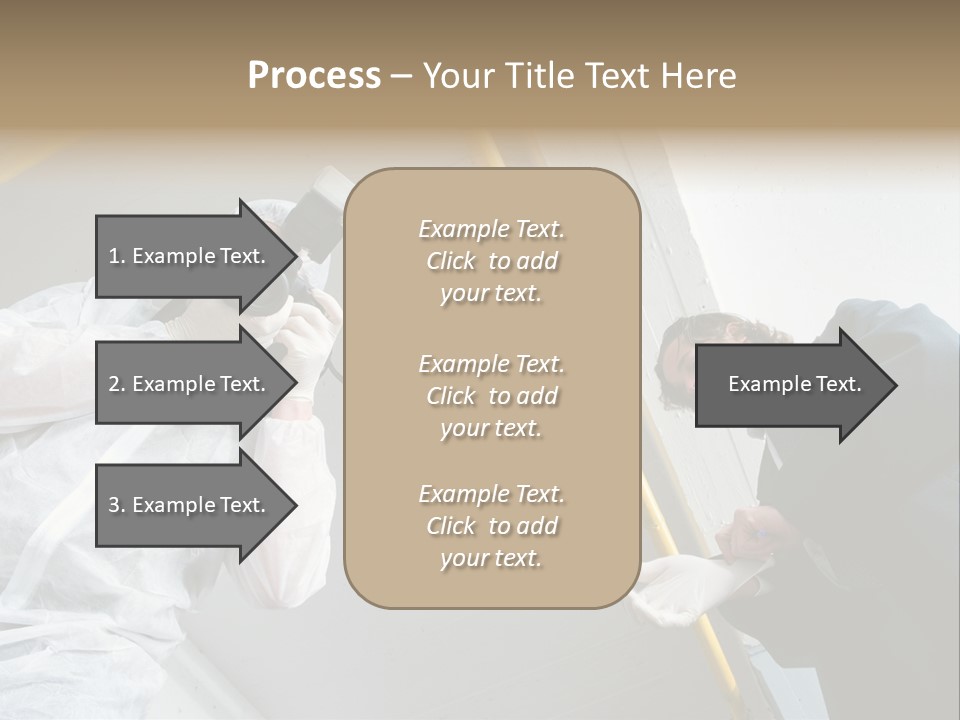 A Photographer Taking A Picture Of A Man In A Bee Suit PowerPoint Template