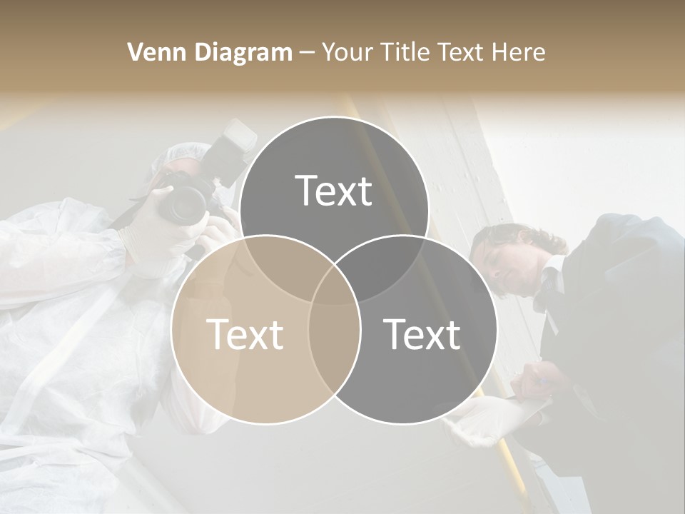 A Photographer Taking A Picture Of A Man In A Bee Suit PowerPoint Template