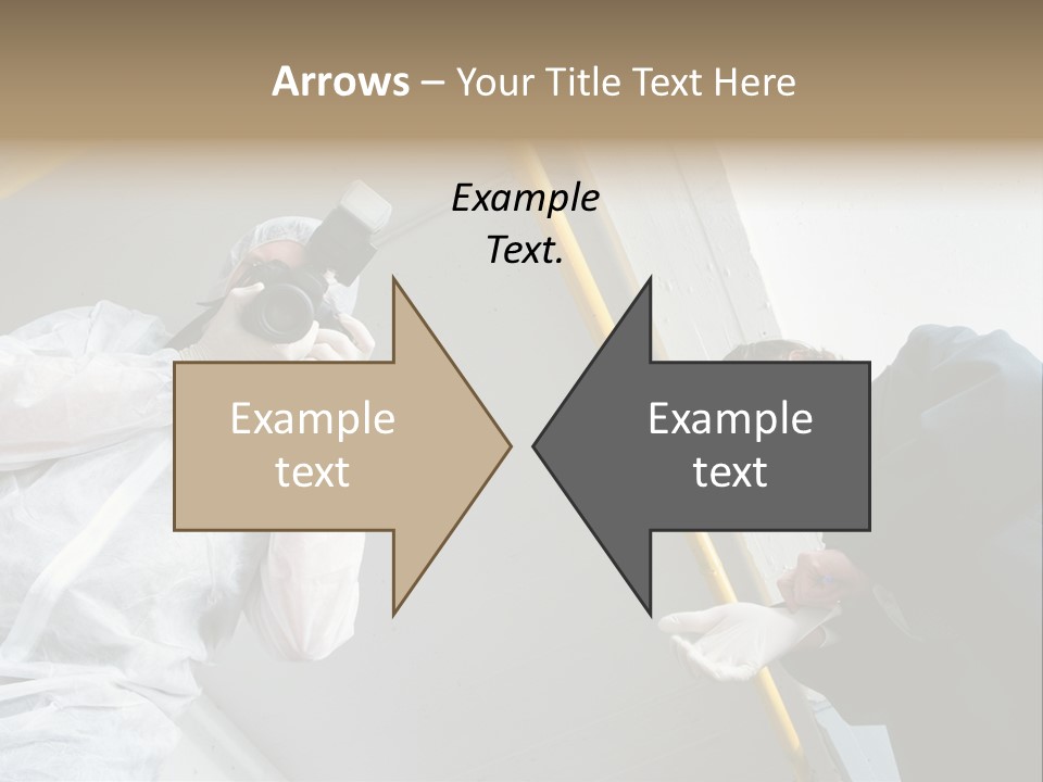 A Photographer Taking A Picture Of A Man In A Bee Suit PowerPoint Template