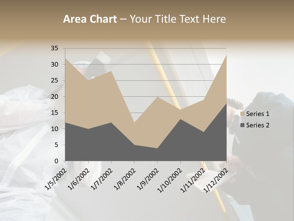 A Photographer Taking A Picture Of A Man In A Bee Suit PowerPoint Template