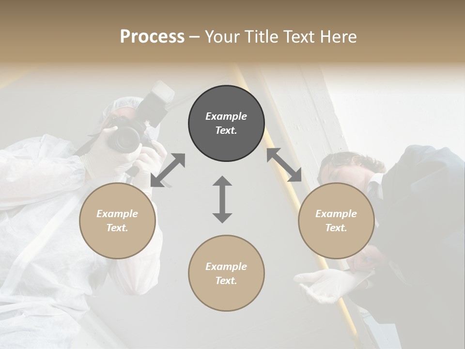 A Photographer Taking A Picture Of A Man In A Bee Suit PowerPoint Template