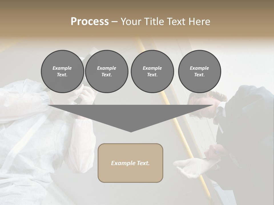 A Photographer Taking A Picture Of A Man In A Bee Suit PowerPoint Template