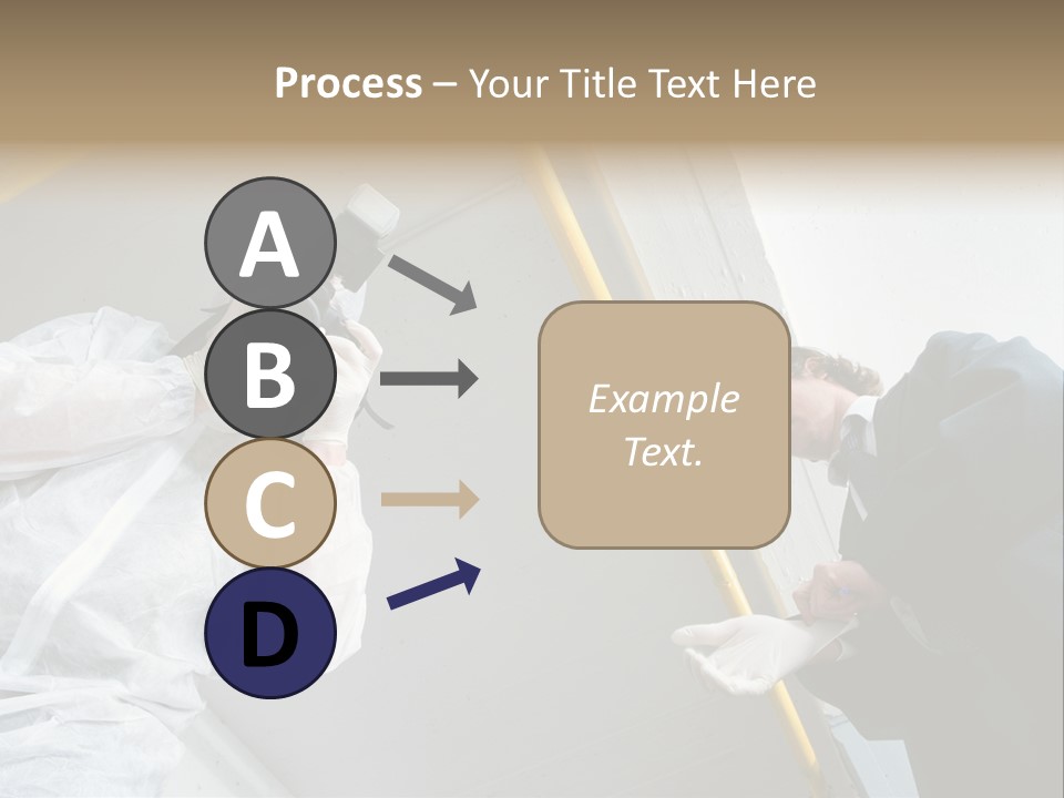A Photographer Taking A Picture Of A Man In A Bee Suit PowerPoint Template
