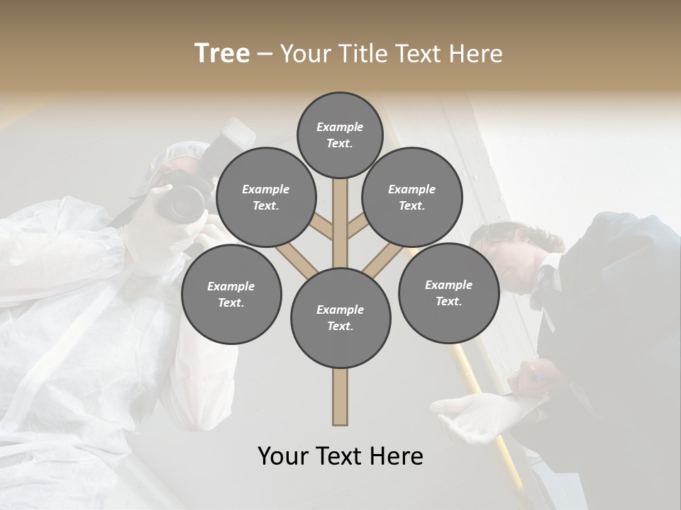 A Photographer Taking A Picture Of A Man In A Bee Suit PowerPoint Template