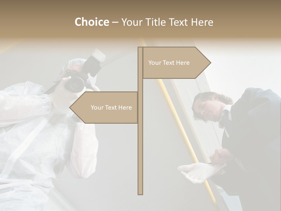 A Photographer Taking A Picture Of A Man In A Bee Suit PowerPoint Template