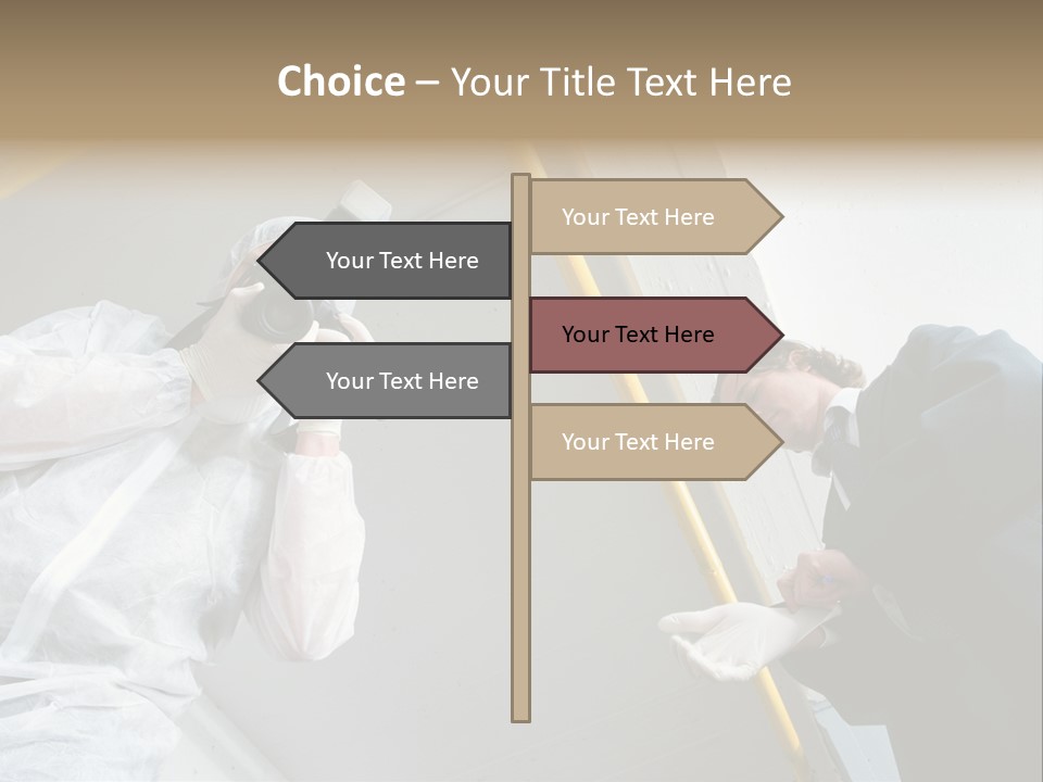 A Photographer Taking A Picture Of A Man In A Bee Suit PowerPoint Template