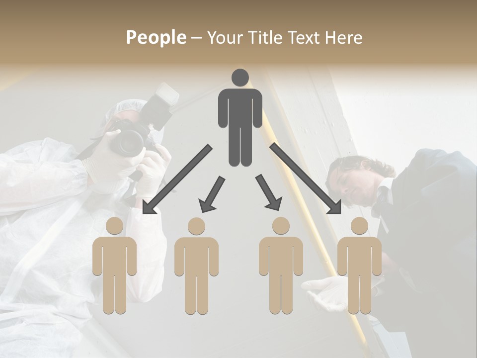 A Photographer Taking A Picture Of A Man In A Bee Suit PowerPoint Template