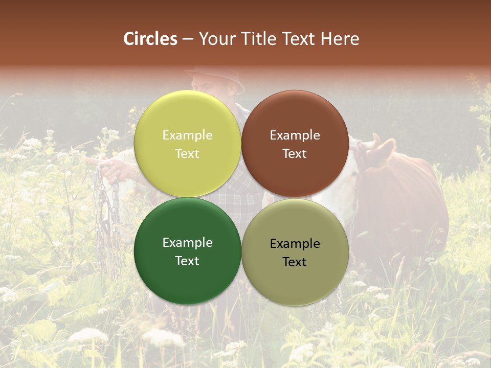 A Man Standing In A Field With A Cow PowerPoint Template