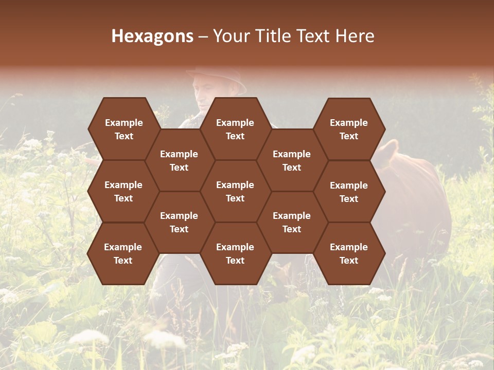 A Man Standing In A Field With A Cow PowerPoint Template