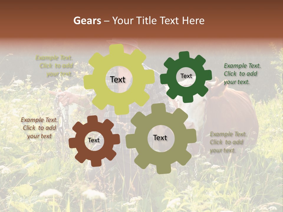 A Man Standing In A Field With A Cow PowerPoint Template