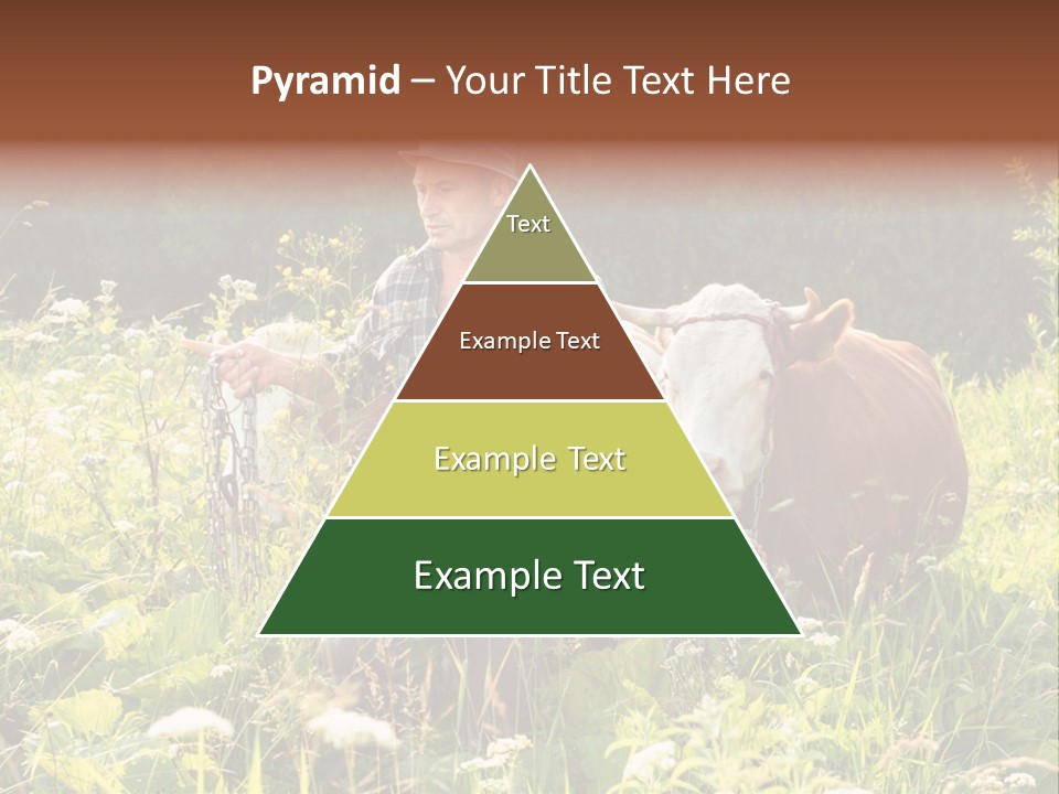 A Man Standing In A Field With A Cow PowerPoint Template