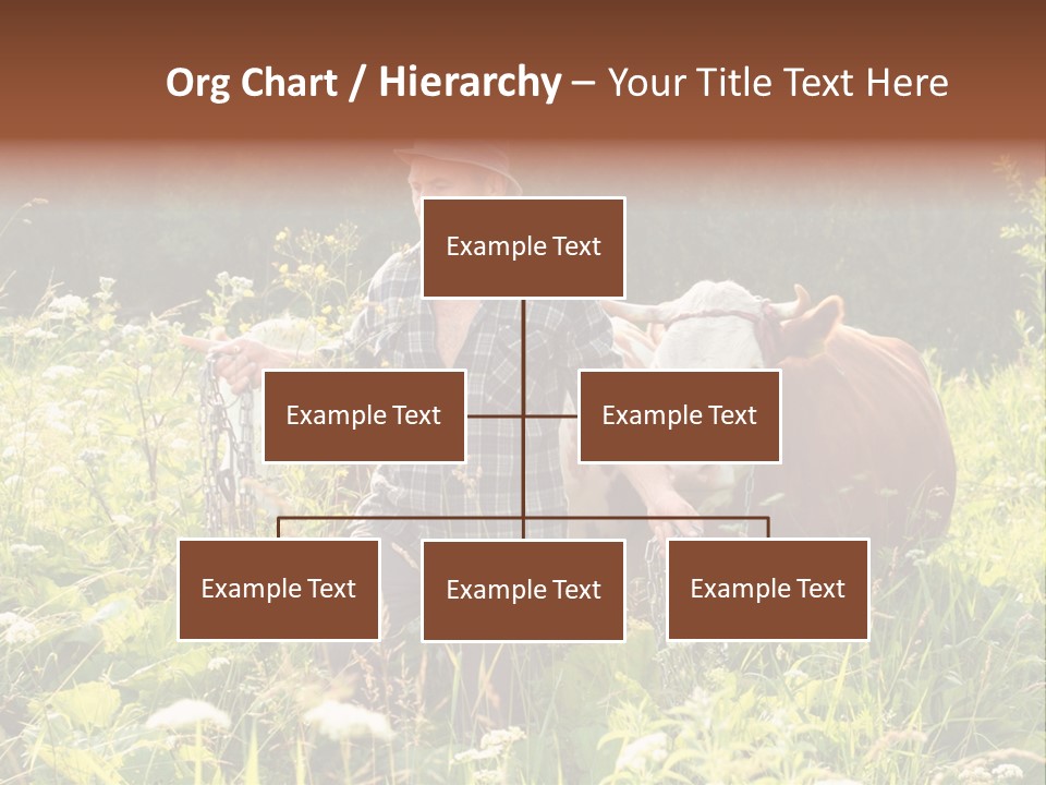 A Man Standing In A Field With A Cow PowerPoint Template
