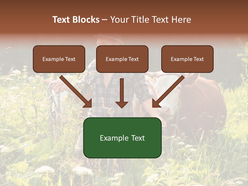 A Man Standing In A Field With A Cow PowerPoint Template