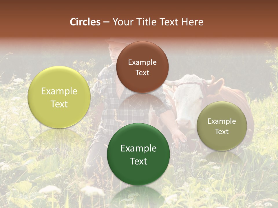 A Man Standing In A Field With A Cow PowerPoint Template