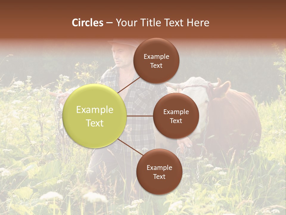 A Man Standing In A Field With A Cow PowerPoint Template