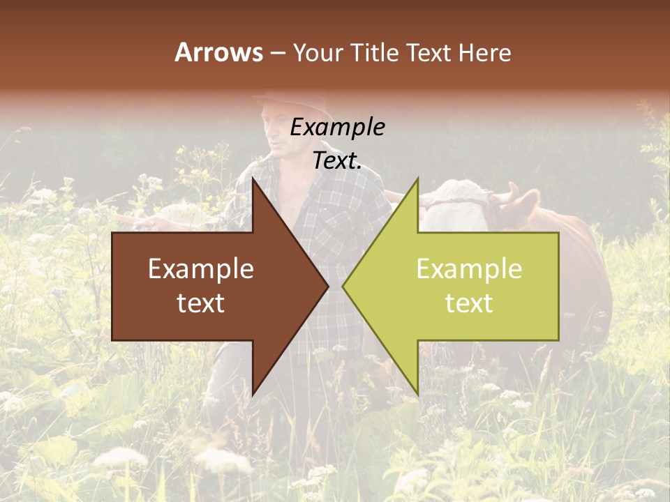 A Man Standing In A Field With A Cow PowerPoint Template
