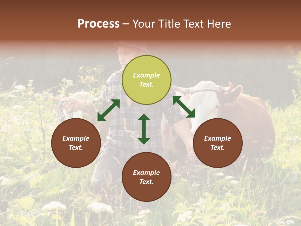 A Man Standing In A Field With A Cow PowerPoint Template